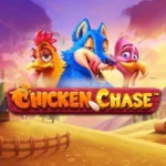 chicken chase slot