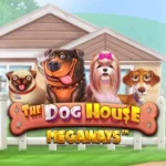 dog house megaways