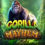 gorilla mayhem slot